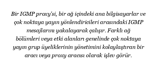 IGMP proxy'si nasıl çalışır?