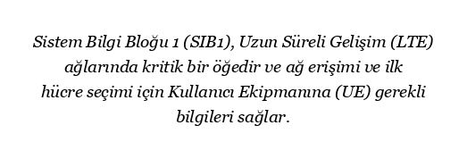 UE, LTE'de SIB1'in kodunu nasıl çözer?