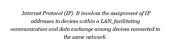 What is LAN in IP?